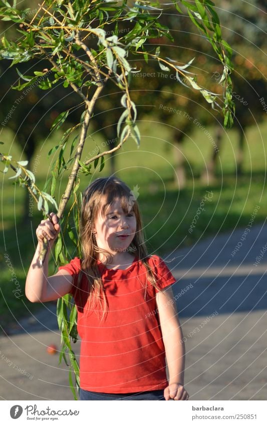 Hexle with broom/CHAMANSÜLZ 2011 Child Girl Infancy 3 - 8 years Nature Landscape Plant Sun Beautiful weather Tree Bushes Meadow Street Lanes & trails T-shirt