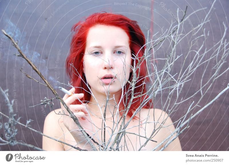 past. Feminine Young woman Youth (Young adults) Hair and hairstyles Face 1 Human being 18 - 30 years Adults Branch Twig Wall (barrier) Wall (building)