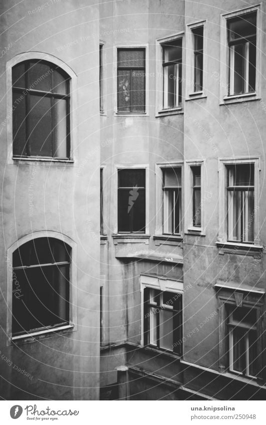 rear building Vienna Austria Town Old town Deserted House (Residential Structure) Manmade structures Building Wall (barrier) Wall (building) Facade Window Dark