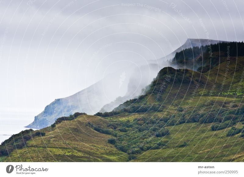 Fog is coming up Nature Landscape Plant Autumn Grass Bushes Hill Coast Creepy Green Sadness Loneliness Cold Colour photo Exterior shot Deserted Copy Space top