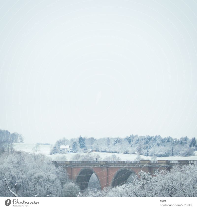 Elster Valley Bridge Environment Nature Landscape Elements Air Sky Cloudless sky Horizon Winter Snow Tree Forest Manmade structures Esthetic Authentic Bright