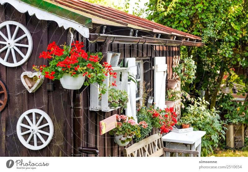 Garden hut with flowers in summer Summer Table Flower Blossom Hut Eaves Traffic light White Wooden hut garden shed Bavaria Geranium planted Rain gutter idyllic