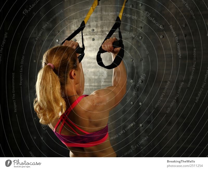 Rear view portrait of one young middle age athletic woman at crossfit training, exercising with trx suspension fitness straps over dark background Lifestyle