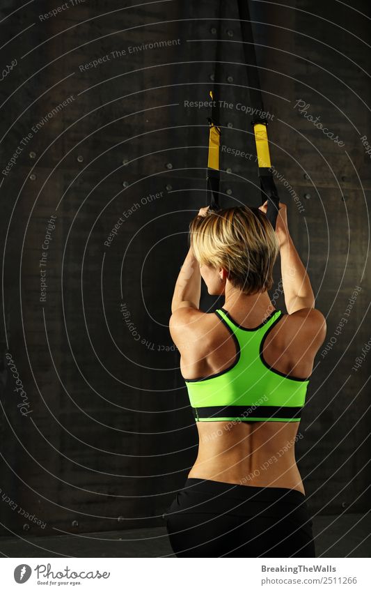 Rear view portrait of one young athletic woman at crossfit training, exercising with trx suspension fitness straps over dark background Lifestyle Body Sports