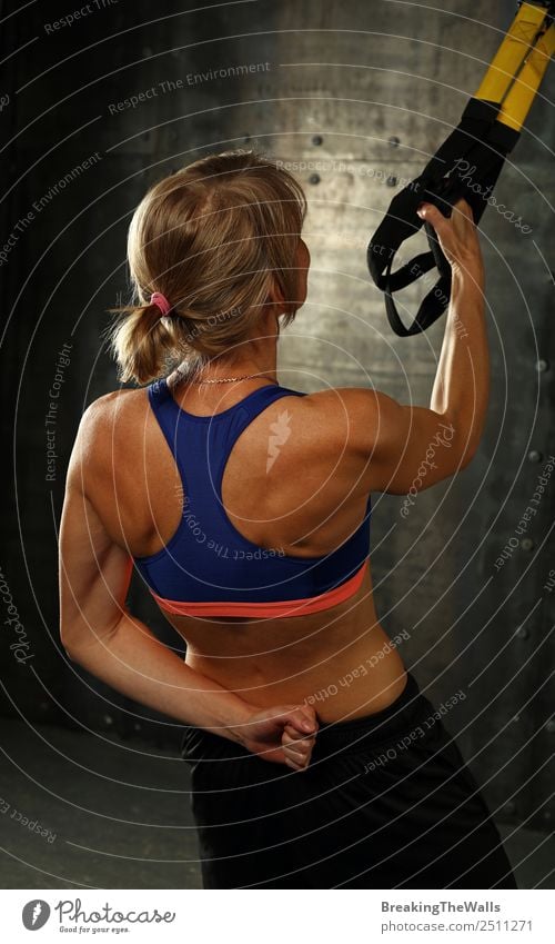 Rear view portrait of one young middle age athletic woman at crossfit training, exercising with trx suspension fitness straps over dark background Lifestyle