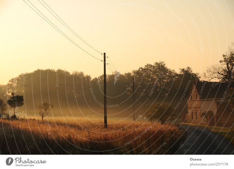 petal Nature Landscape Sky Cloudless sky Sunrise Sunset Autumn Beautiful weather Fog Tree Grass Bushes Field Pasture Germany Village