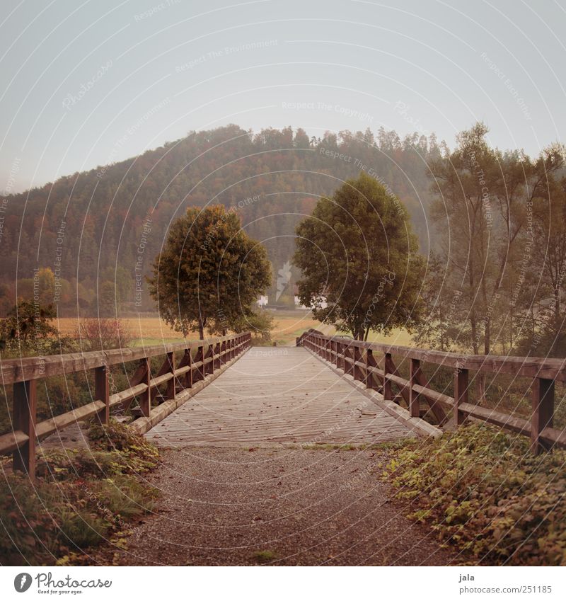 CHAMANSÜLZ | the old bridge Environment Nature Landscape Plant Tree Grass Bushes Foliage plant Wild plant Bridge Manmade structures Natural Colour photo