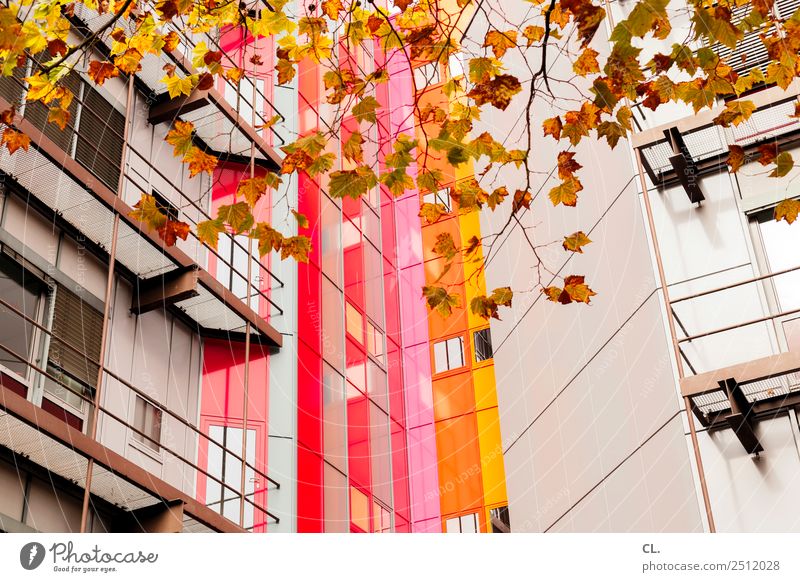 autumn high house Education Academic studies Autumn Leaf Essen Town High-rise Manmade structures Building Architecture Facade Multicoloured Colour Complex