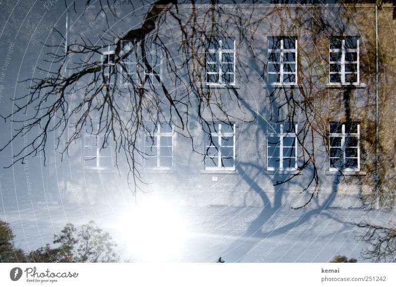 [CHAMANSÜLZ 2011] Surrounded by trees Environment Nature Plant Sun Sunlight Beautiful weather Tree Branch Twig House (Residential Structure) Building