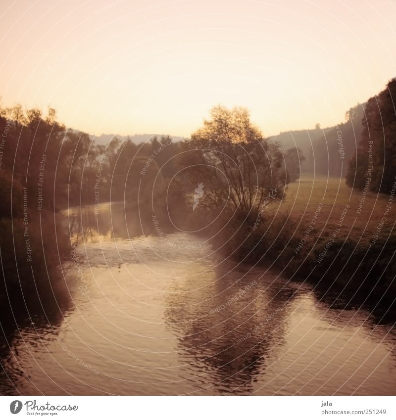 CHAMANSÜLZ | Morning Hour Environment Nature Landscape Plant Sky Sunrise Sunset Autumn Fog Tree Grass Bushes Wild plant Brook River Natural Colour photo