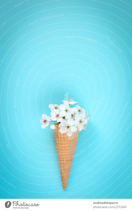 White flowers ice-cream cone. Food Lifestyle Shopping Style Design Decoration Art Plant Blossom Foliage plant Pot plant Ornament Authentic Simple Elegant Bright