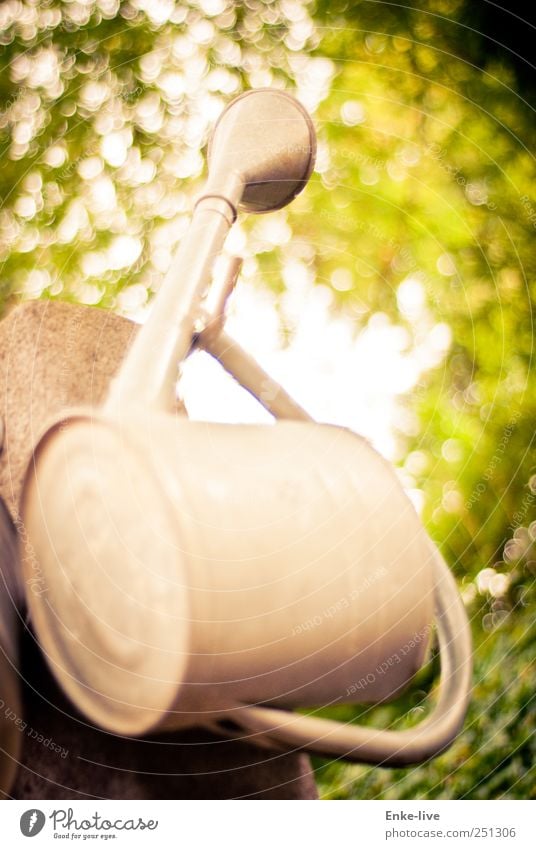 rain catcher Garden Funeral service Nature Rain Leaf Park Watering can Steel Old Tall Yellow Green Purity Concern Grief Death Thirst Loneliness Innovative