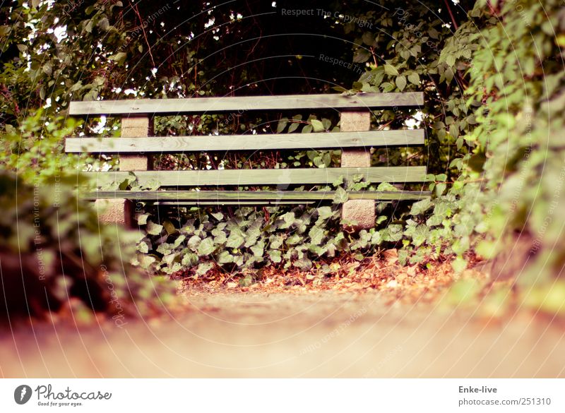 take a break. Garden Nature Sand Bushes Discover To enjoy Crouch Sit Simple Brown Green Moody To console Conscientiously Caution Patient Calm Hope Belief Humble