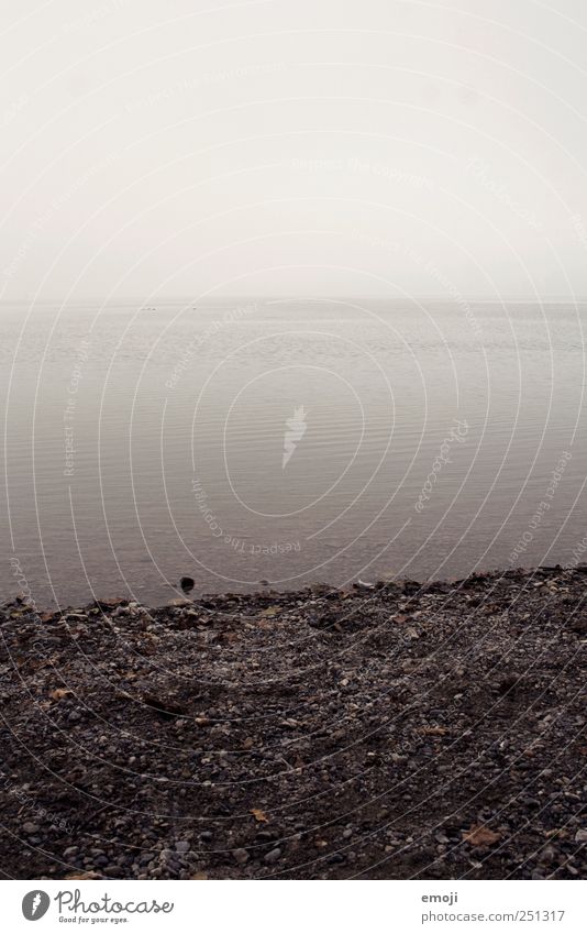 rampant Environment Nature Landscape Water Sky Bad weather Fog Lakeside North Sea Baltic Sea Ocean Dark Cold Gray Gloomy Sadness Subdued colour Exterior shot