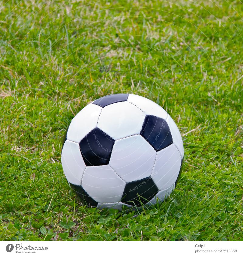 Soccer ball Joy Happy Life Leisure and hobbies Playing Sports Success Stadium Earth Grass Lanes & trails Leather Sphere Green Black White Competition football