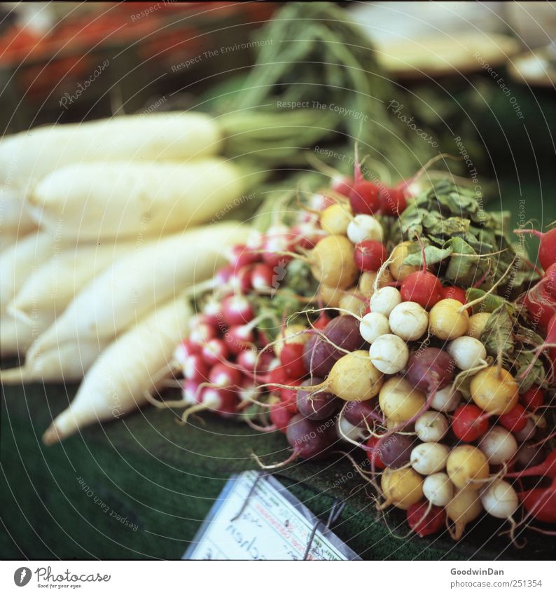 Munich. Food Vegetable Radish Nutrition Marketplace Market stall Blanket Fragrance Exotic Delicious Round Juicy Multicoloured Colour photo Exterior shot