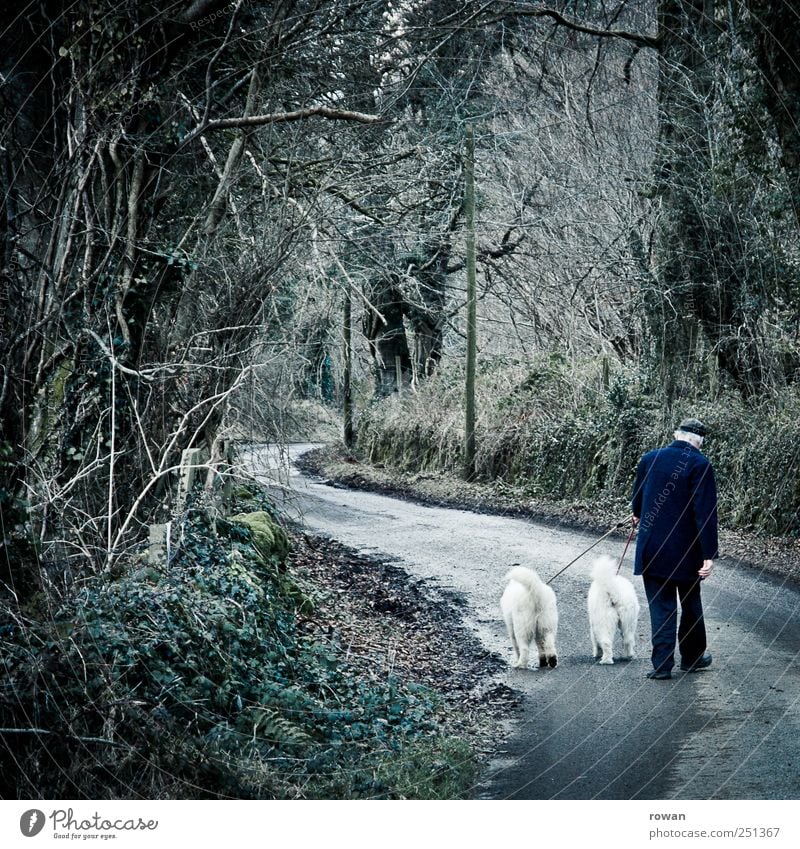 Sunday stroll Mountain Hiking Masculine Male senior Man Senior citizen 1 Human being 60 years and older Nature Tree Forest Dog 2 Animal Moody Love of animals