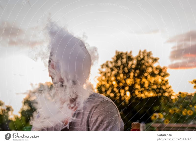 Covering, Smoking man Masculine 1 Human being Landscape Sky Summer Beautiful weather Tree Flower Sunflower Garden Smoke Hookah Waterpipe Brown Gold Pink Black