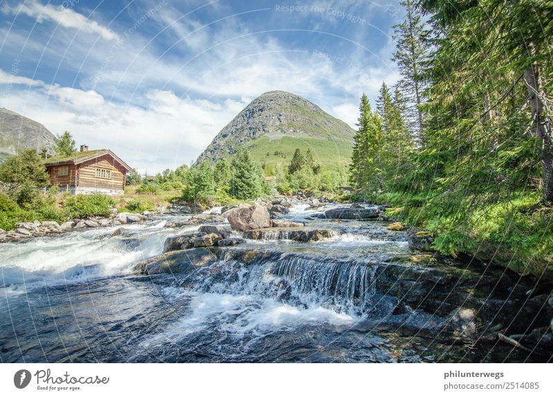 Cottage at a river in Norway in sunshine Vacation & Travel Trip Adventure Far-off places Freedom Expedition Camping Environment Nature Landscape Elements Water