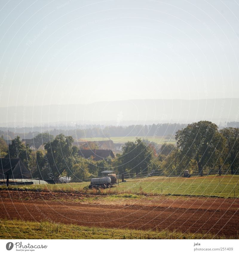 CHAMANSÜLZ | arable land Agriculture Forestry Environment Nature Landscape Plant Sky Autumn Tree Foliage plant Agricultural crop Wild plant Field Mountain