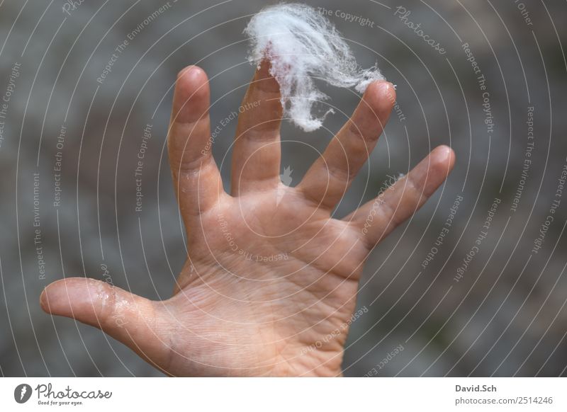 Cotton candy sticks to children's hands Child Hand Fingers 3 - 8 years Infancy Touch Gray White Stick Sticky Uncomfortable cohesion Colour photo Exterior shot