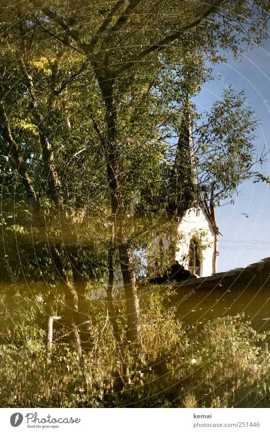 [CHAMANSÜLZ 2011] Church in the water Environment Nature Plant Water Beautiful weather Tree Leaf Foliage plant Wild plant Brook River Village Church spire