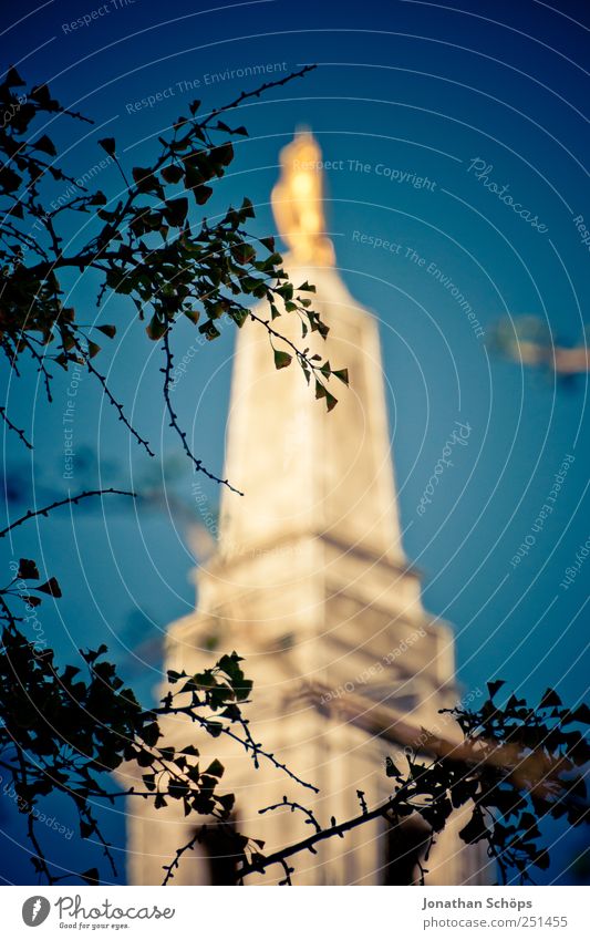 gold in blue Culture England Europe Downtown Tower Manmade structures Building Architecture Esthetic Gold Blue Blue sky Twigs and branches Silhouette Glittering