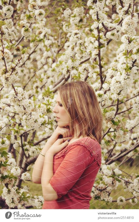 Cherry Blossom Girl Human being Feminine Young woman Youth (Young adults) Woman Adults 1 13 - 18 years 18 - 30 years 30 - 45 years Tree Flower