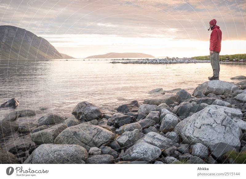 Young man in midnight sun at the Polar Sea Harmonious Contentment Relaxation Calm Vacation & Travel Adventure Far-off places Freedom Youth (Young adults) Coast