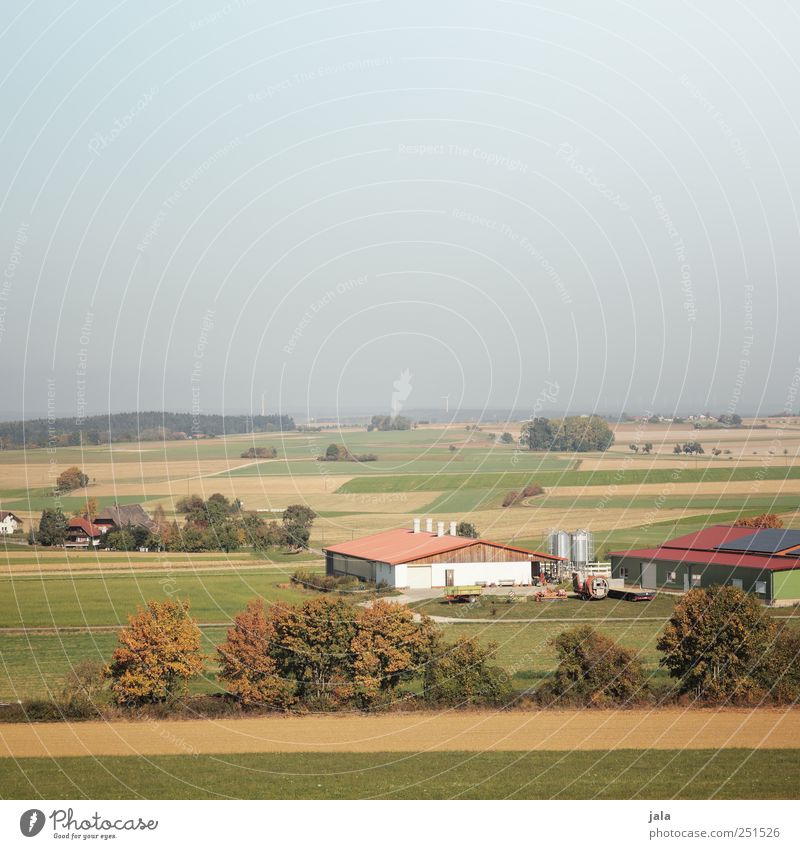 CHAMANSÜLZ | agricultural enterprise Agriculture Forestry Environment Nature Landscape Sky Autumn Plant Tree Field Village House (Residential Structure) Natural