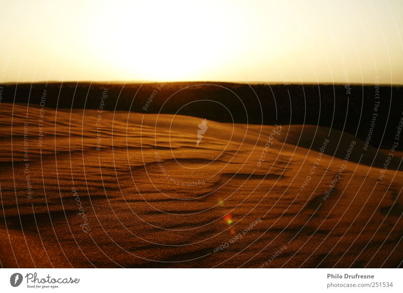 desert Landscape Sand Sunrise Sunset Summer Beautiful weather Desert Wanderlust Colour photo Exterior shot Deserted Twilight Sunlight Blur