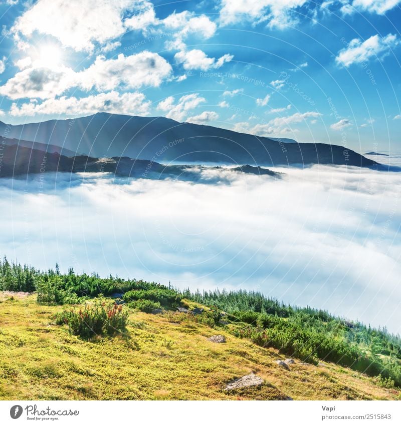 Green mountains in the clouds Beautiful Vacation & Travel Tourism Freedom Summer Summer vacation Sun Mountain Hiking Environment Nature Landscape Sky Clouds