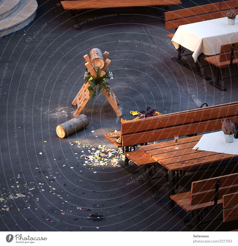 Please, say yes. Table Feasts & Celebrations Wedding Wood Tradition Colour photo Exterior shot Day Deserted Wooden bench Wooden table Tree trunk Ritual