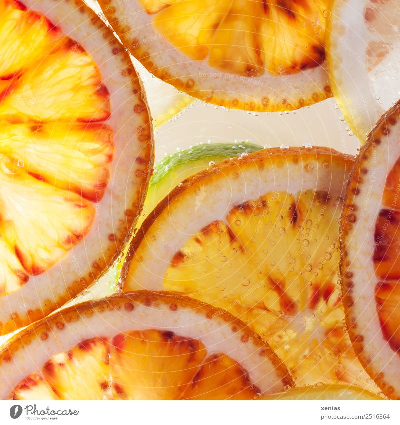 Macro shot - A green lime under oranges Orange fruit Lemon Organic produce Food Vegetarian diet Cold drink Drinking water Round Juicy Sour Yellow White