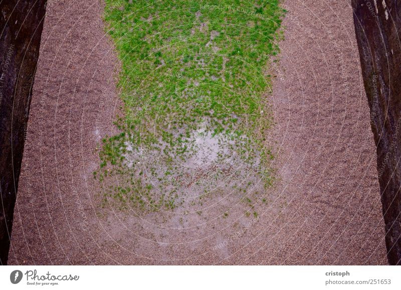 park Sand Grass Park Meadow Wall (barrier) Wall (building) Green Gloomy Colour photo Abstract