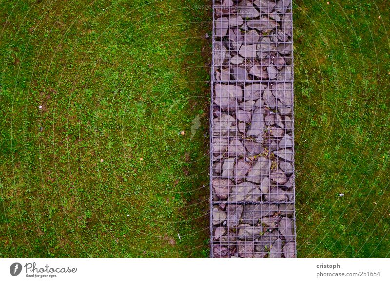 dividing line Grass Park Meadow Wall (barrier) Wall (building) Divide Border Green Contrast Structures and shapes Multicoloured Abstract Copy Space left