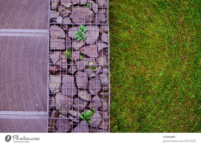 order Grass Park Meadow Wall (barrier) Wall (building) Lanes & trails Arrangement Divide Structures and shapes Contrast Green Multicoloured Bird's-eye view