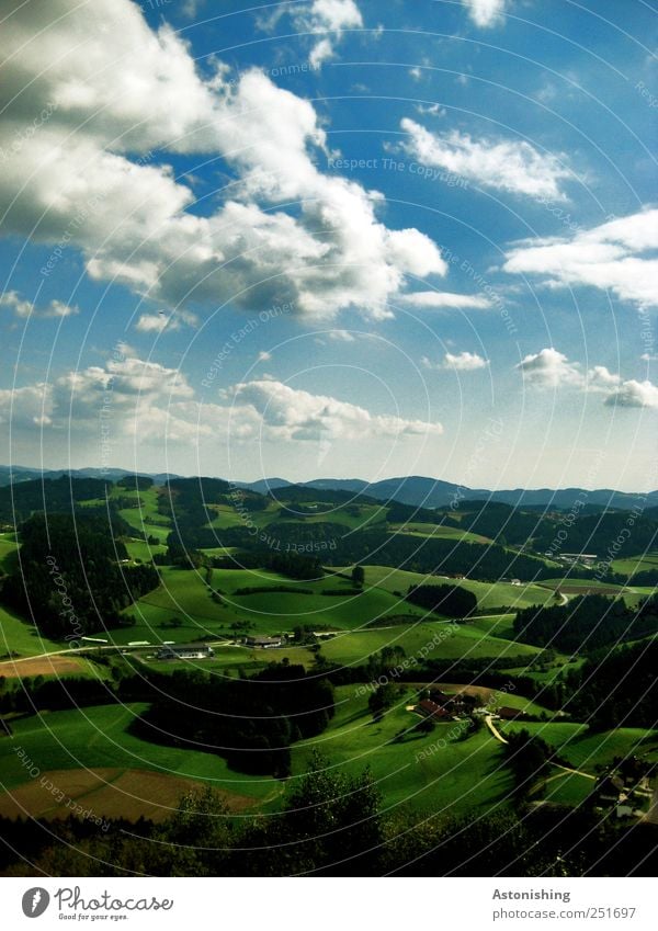 Hilly landscape (Shire) Environment Landscape Plant Air Sky Clouds Horizon Autumn Climate Weather Beautiful weather Tree Grass Bushes Foliage plant Meadow