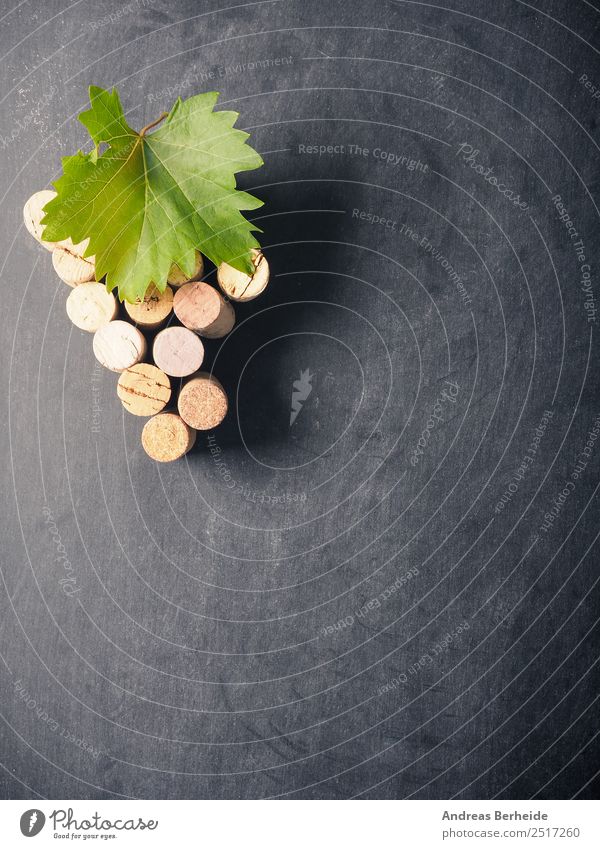 Bottle cork as grapevine with vine leaf on a blackboard Beverage Wine Blackboard Delicious organic natural Material twig bunch winery table red green space old