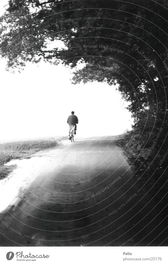 on the way Bicycle Forest Loneliness Lanes & trails Transport Vacation & Travel Life