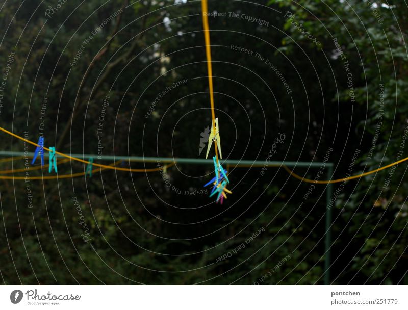 Housework. Taut, empty clothesline with colored clothes pegs Clothesline Clothes peg conceit Garden Yellow bushes Housekeeping Colour photo Subdued colour