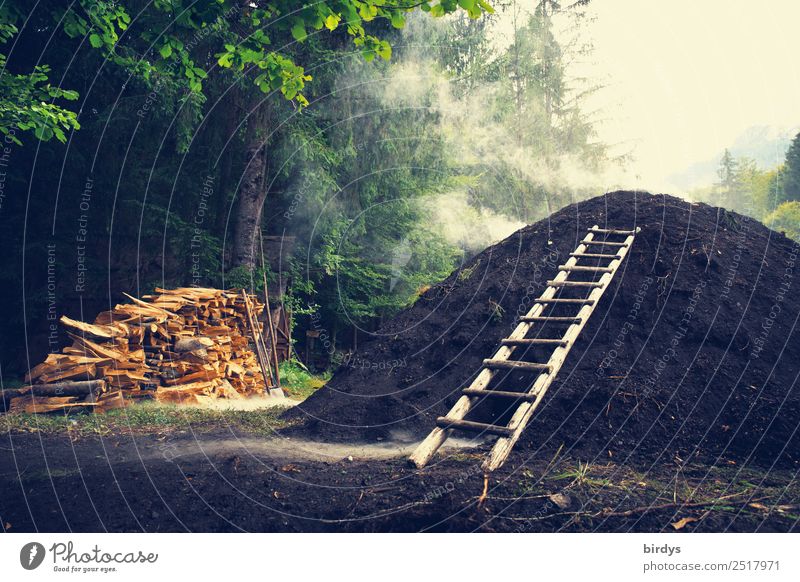 Charcoal pile in the forest | old professions, charcoal burners Craftsperson Charcoal burner Workplace Craft (trade) old occupations Charcoal production Nature