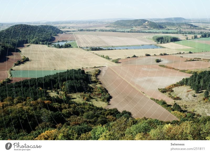 prospect Hiking Environment Nature Landscape Sky Summer Autumn Climate Weather Beautiful weather Plant Tree Field Forest Hill Horizon Agriculture Colour photo