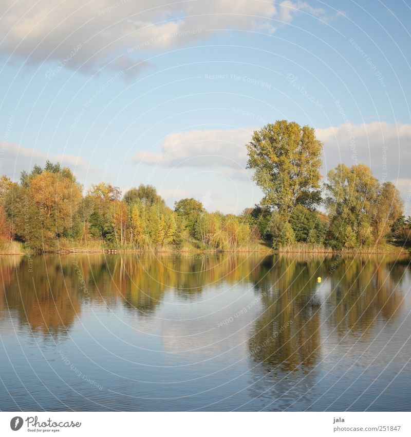 out by the lake Environment Nature Landscape Plant Sky Clouds Autumn Tree Bushes Lake Natural Blue Gold Green Colour photo Exterior shot Deserted Copy Space top