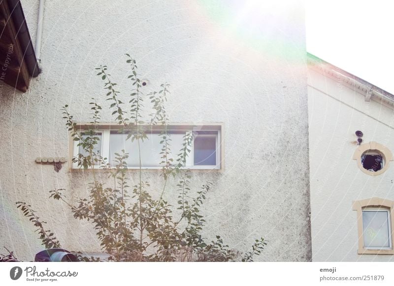 Windows, square & round, broken & whole Industrial plant Factory Wall (barrier) Wall (building) Facade Old Gray Colour photo Subdued colour Exterior shot