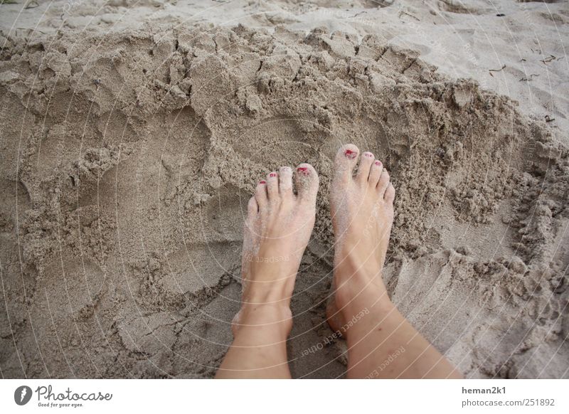 patch feet in the sand Summer Beach Woman Adults Legs Feet 1 Human being Sand Colour photo Exterior shot Day