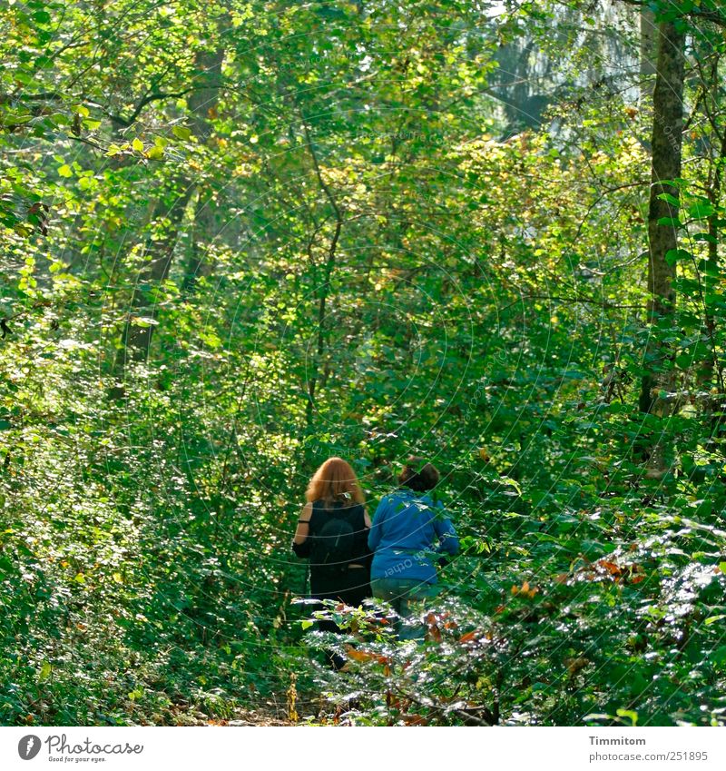 [CHAMANSÜLZ 2011] - Two female hunters! Leisure and hobbies Take a photo Human being Nature Landscape Plant Tree Grass Bushes Forest Swabian Movement Going