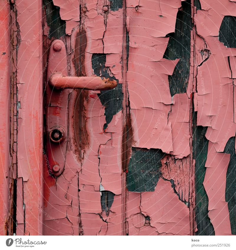 back door Hut Ruin Building Door Door lock Wood Metal Rust Old Broken Trashy Brown Red Black Past Transience Destruction Colour Colour photo Exterior shot