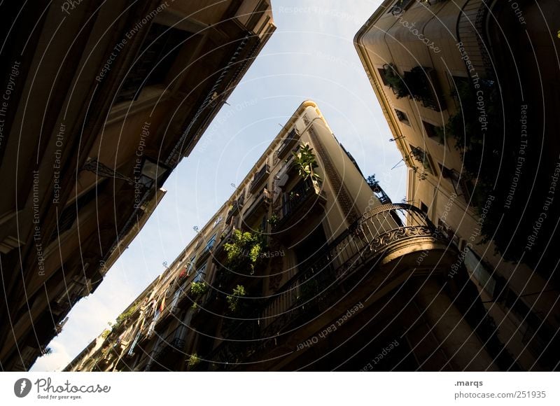 balcony Balcony Tall Ambitious Barcelona Spain Dark Narrow Facade Decoration Foliage plant House (Residential Structure) Living or residing Real estate market