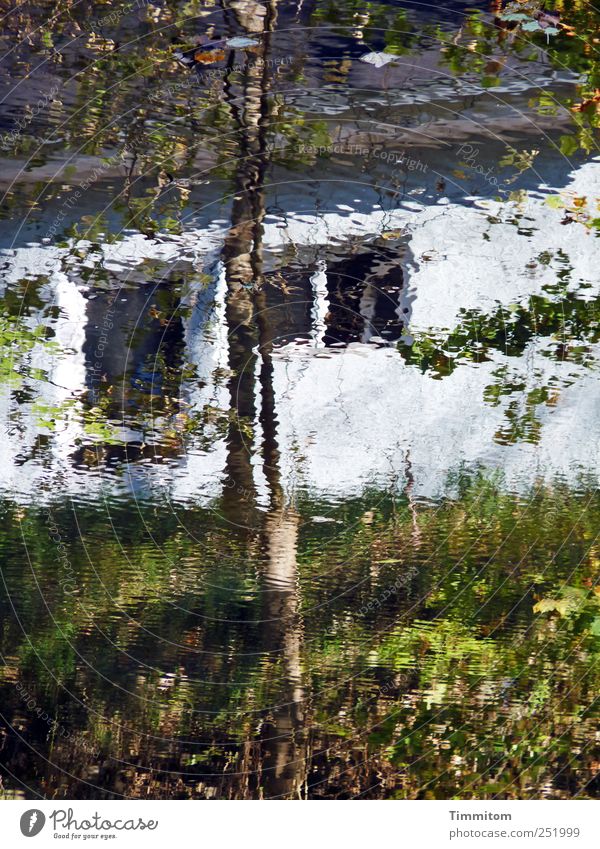 [CHAMANSÜLZ 2011] - Lens or water turbidity Trip Environment Nature Plant Water Autumn Tree River Neckar Rottweil House (Residential Structure) Facade Roof